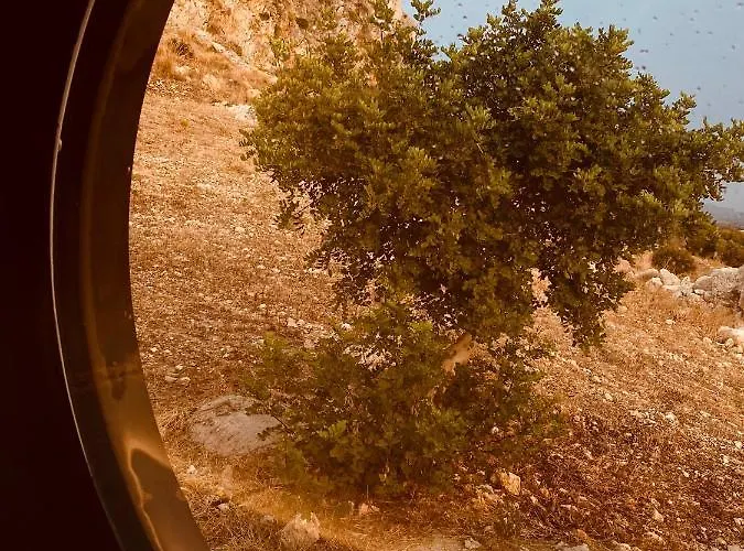 Container Glamping *